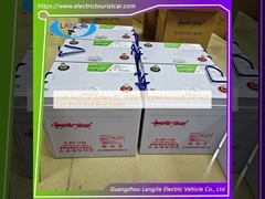 Blei-Säure-Autobatterie 6V 170AH Marshell für Clubwagen Golfwagen Teile und Zubehör