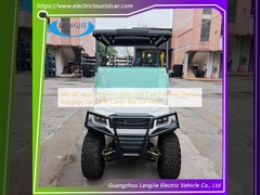 48 V Wechselstrommotor Elektro-Golfwagen 2 Personen Elektro-Gepäckwagen mit Frachtkarton für Hotel