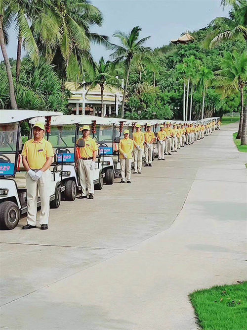 Neueste Unternehmensnachrichten über Die vielseitigen Sightseeingfahrzeuge mit 8 bis 14 Sitzplätzen