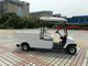 Kompaktes elektrisches Fracht-Auto, Elektroauto des Sitzer-2 mit Rückspiegel 2pcs fournisseur
