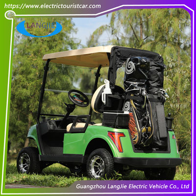 2-Sitzer AC-Motor Elektro-Buggy-Fahrzeug Elektro-Golfwagen mit Blei-Säure-Batterie