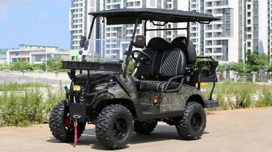 Ein guter Preis. Elektro-Golfwagen mit 14-Zoll-Rädern, Q235-Chassis, 10-Zoll-Display für komfortables Fahren online